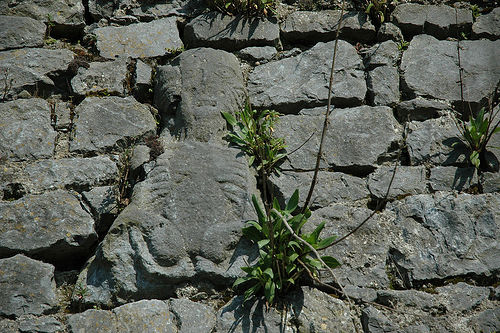 Sheela na Gig - fragment muru miejskiego w Fethard w irlandzkim hrabstwie Tipperary, By Michael Sider [CC BY 2.0 (http://creativecommons.org/licenses/by/2.0)], via Wikimedia Commons